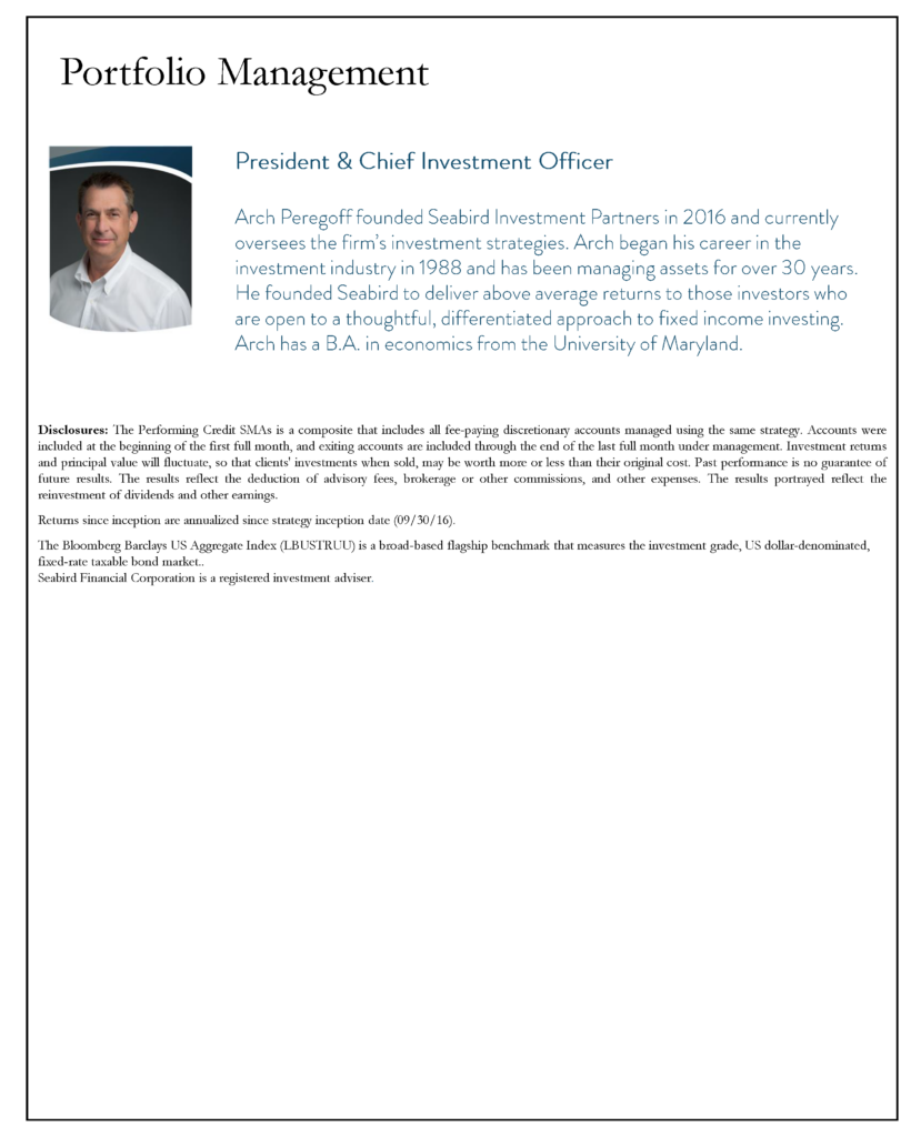 Seabird Performing Credit Fact Sheet Q1 2026_Page_2